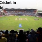 Biggest Cricket in the World