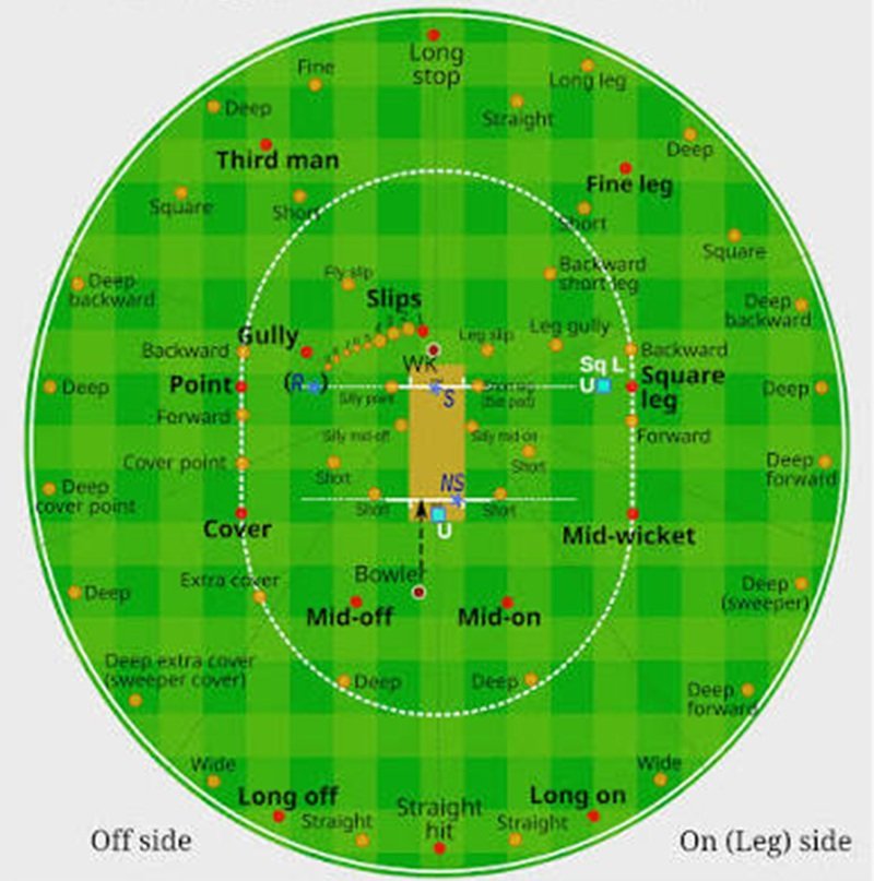 Cricket Map